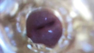 Trans damsel web cam extraordinary close-ups, camera in fleshlight