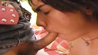 TRANSEXUAL ASS FUCKING REVELATION!!! VOL #02