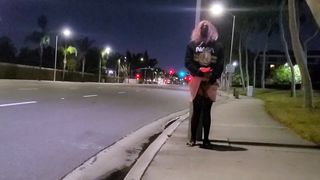 Pinkyfoot Public Walk