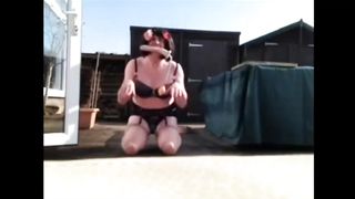 Sissy cooter the siissy mutt