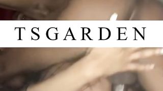 Slender Diminutive Ebony Trans Turns GAY-FOR-PAY Dboy OUT!! He Can’t Turn Back!