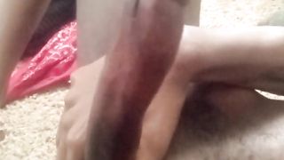 La Nefertiti Perkins Draining She Haves Such a Uber-Cute Beef Whistle