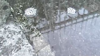 Vulgarity bitch Street excretion