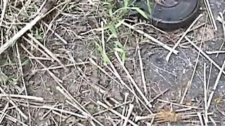 Vulgarity bitch Street excretion