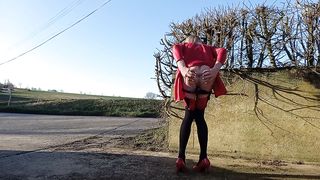 T-Model Toying By the Roadside