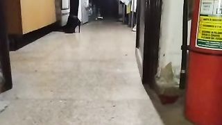 breezy in the kitchen