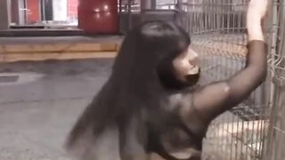 VOLUPTUOUS GAL UNCLOTHING IN PUBLIC IN FRONT OF A KENTUCKY PORNO