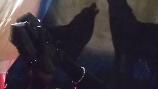 Super-Sexy Cougar Crossdresser Shauna Garnet takes Throbbing Guts Wand all the way in her insatiable fuck-hole.