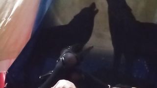 Super-Sexy Cougar Crossdresser Shauna Garnet takes Throbbing Guts Wand all the way in her insatiable fuck-hole.