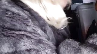 Wool, smoking and BIG BLACK COCK fucktoy - part 2