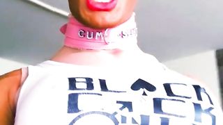 DUMB SILLY TAUNTING FOR BLACK PRICKS