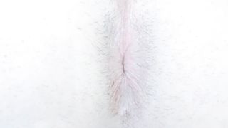 Erika Oak Banana Dual Foray