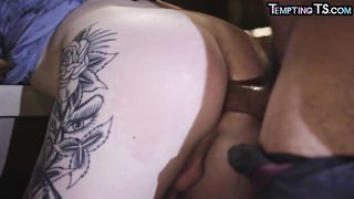 ENTICING TRANSSEXUAL - Smalltits inked TRANSSEXUAL barebacked by BEAU after dicksucking
