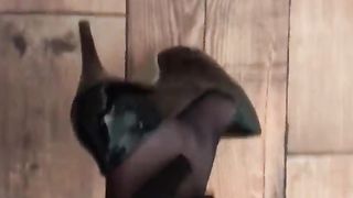 joy in sheer black pantyhose