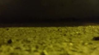 Transgender Princess Mache rails fuck stick by the road outdoor public