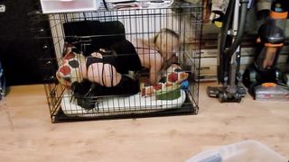 Crystal in the crate woof!