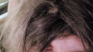 trio Hour Vaca joy - part four