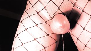 lil sissy cock salivates precum until climax