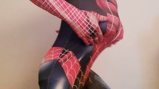 Spider D Bowl bosoms