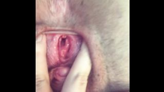 Ftm Keith Kocklet ftmboykeith gets up close and fucktoys his fuckholes