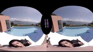 VirtualRealTrans - Real estate romp
