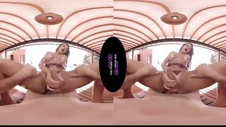 VirtualRealTrans - Real estate romp