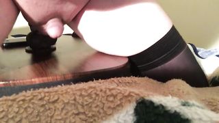 Vib and buttfuck until sissygasm