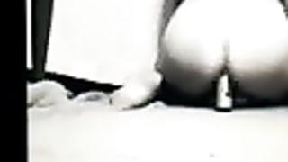 Wonderful Transgender Princess Cdbobbiejoejoe Railing Plaything with Music