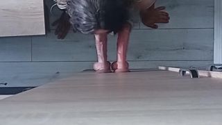 Kinky Sissy bi-atch oral pleasure instructing