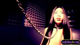 Little Japanese t-model nubile devoted to throating his knob