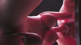 Futa Hermaphroditism Harley Quinn Deeptthroat THREE DIMENSIONAL Anime Porn