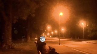 Public dildom shagging with sausage in the park