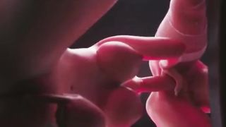 Futa Hermaphroditism Harley Quinn Deeptthroat 3 DIMENSIONAL Anime Porn