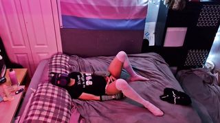 Trans Pup gets Home and Has some Joy (Part 1)