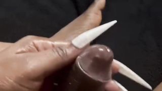 T-Model sir activity compilation