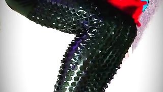 Sissy Spandex Dominatrix Adore