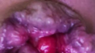 Sissy mini-rosebud extraordinary