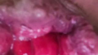 Sissy mini-rosebud extraordinary