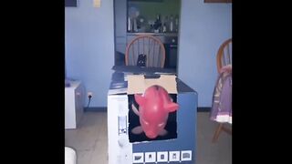 Sloppy T-girl Piggy Analized By A Humping Machine