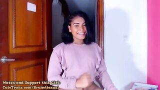 Gorgeous Shemale Stroke Her Hard Cock