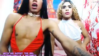 Two Masturbating Shemales