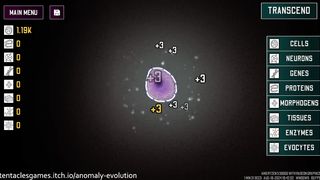 ANOMALY EVOLUTION