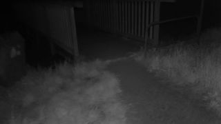 Having a walk at Night concludes in a hefty Pop-shot to gulp.