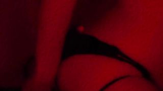 Insane Pup T-model Pretends Her Playthings Are The Neighbor's Mutt & Her Sir