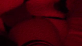 Insane Pup T-model Pretends Her Playthings Are The Neighbor's Mutt & Her Sir