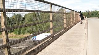 Attempting out showing my titties and getting a excellent answer.