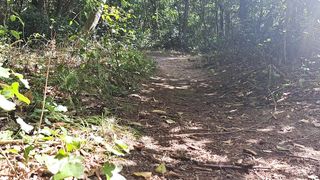 Displaying my thick pecker in the public forest in superslut clothing