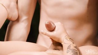 A Highly Daysey Lotsa Nectar Packed Compulation - Daisy Taylor