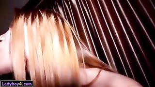 Monstrous baps and rump Asian shemale POINT OF VIEW oral and moist buttfuck boner rail