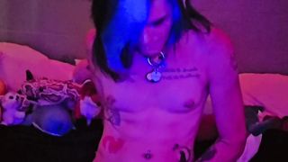 Fox chick plays and zaps! Tug my tail??